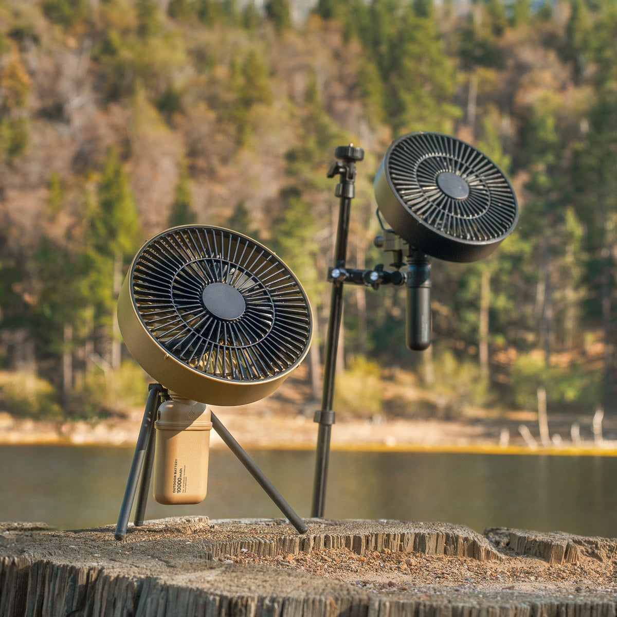 FAN-1 Portable Fan