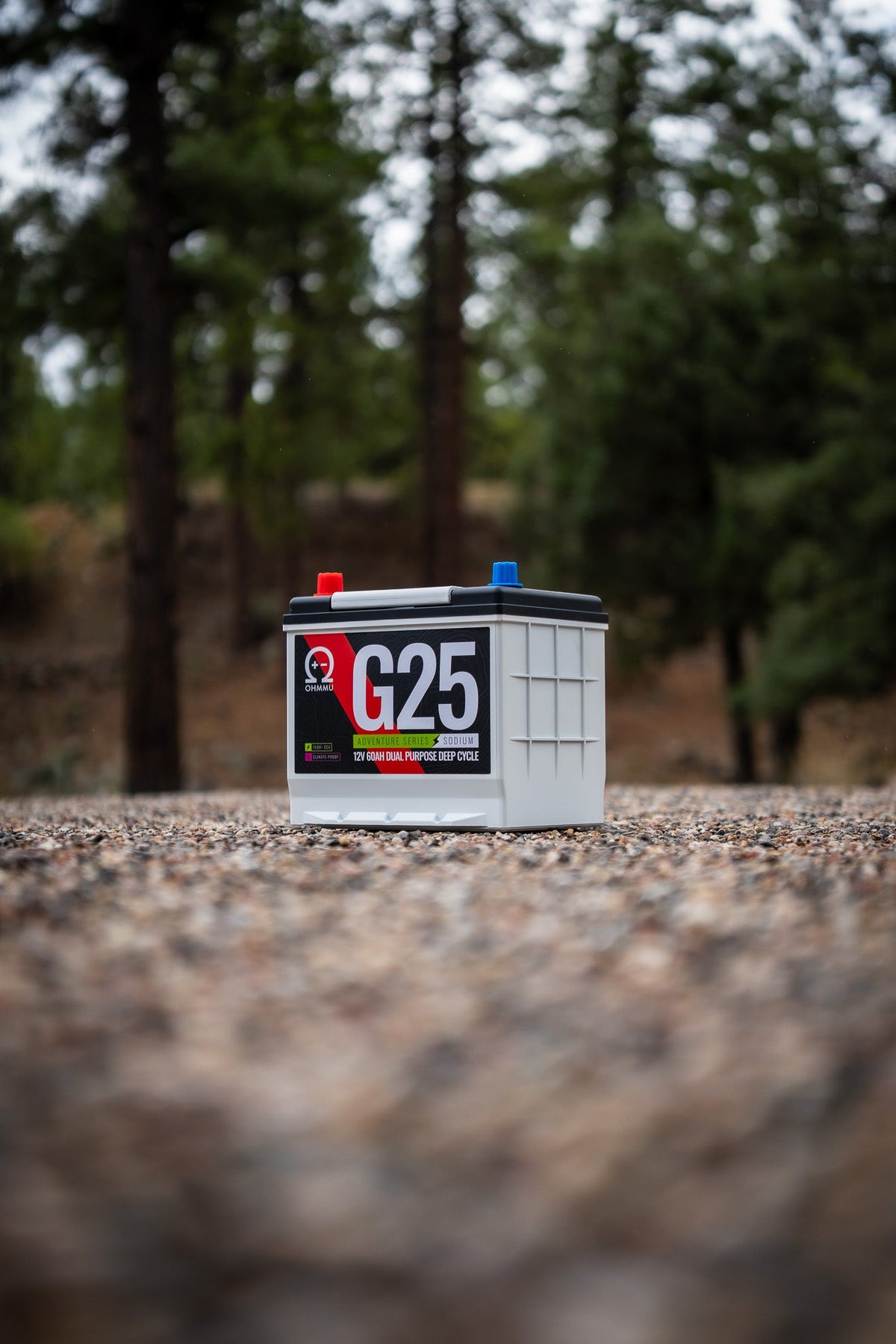 Group 25 - 60Ah Sodium 12V Battery